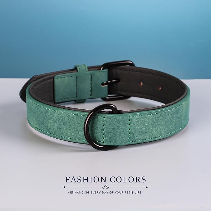 Didog Soft Padded PU Leather Dog Collar, Breathable and Adjustable Red Dog Collars for Small Dogs, Comfortable for Daily Walk, Green, M Fit Neck 11-14"(10-20 lbs)