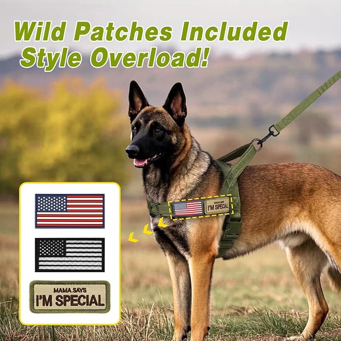 Forestpaw No Pull Dog Harness with Large Handle,Slip on Reflective Vest with Quick Release Buckle,Comfortable Flannel Lining for Medium Large Dogs Walking Training (Includes 3 Patches),Green M