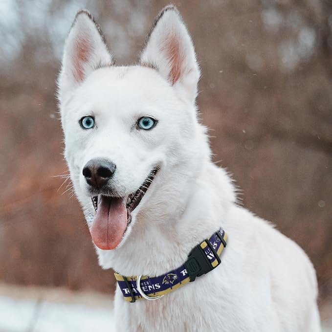 Pets First NFL Baltimore Ravens Licensed PET COLLAR, Extra Large - Heavy-Duty, Strong, and Durable Dog Collar. Available in 31 Football Teams and 4 Sizes