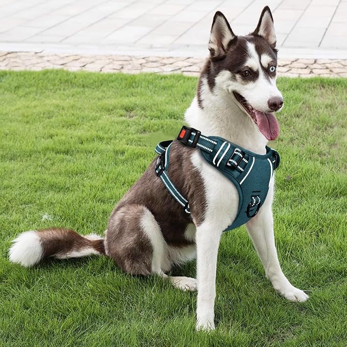 Timos Dog Harness Large Sized, No Pull Pet Harness with Neck Lockable Snap, No Choke Front Clip Reflective Vest, Adjustable Metal Rings 3 Buckles, Easy Control Handle for Large Dogs Blackish Green L