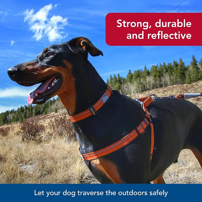 Coastal Pet K9 Explorer Reflective Adjustable Dog Collar - Comfortable Collar for the Outdoors - Durable, Lightweight Accessory with Side-Release Buckle - Orchid, 5/8" x 8-12"