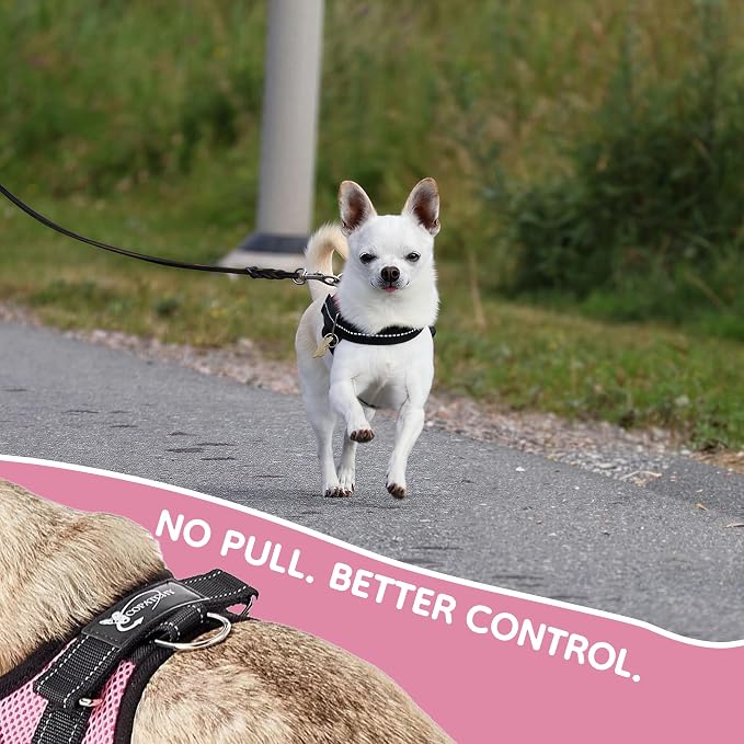 No Pull Reflective Adjustable Dog Harness with Handle- Comfortable Soft All Weather Mesh, Easy On Puppy Harness for Small Medium and Large Dogs (Pink) XX-Small