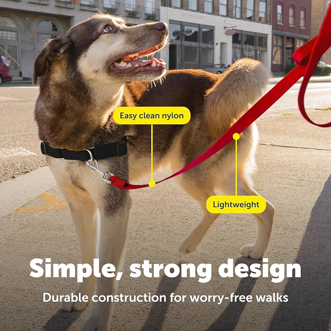 PetSafe Nylon Dog Leash - Strong, Durable, Traditional Style Leash with Easy to Use Bolt Snap - 1 in. x 6 ft., Red