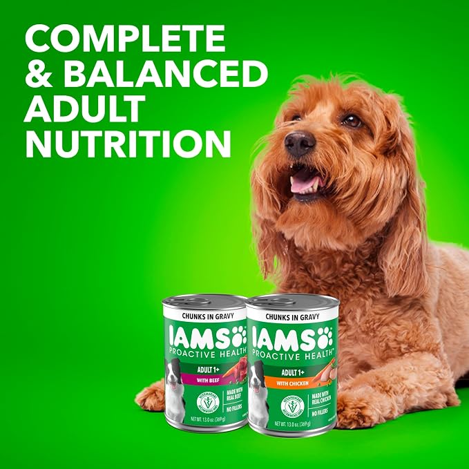 IAMS Proactive Health Wet Dog Food Adult, Canned Dog Food, Beef, Rice, Carrots & Green Beans Chunks in Gravy, 13 oz. Cans 12 Count (Pack of 2)