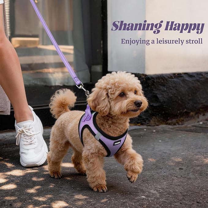 YIMEIS Dog Harness and Leash Set, No Pull Soft Mesh Pet Harness, Reflective Adjustable Puppy Vest for Small Medium Large Dogs, Cats (Taro Purple, Small (Pack of 1)