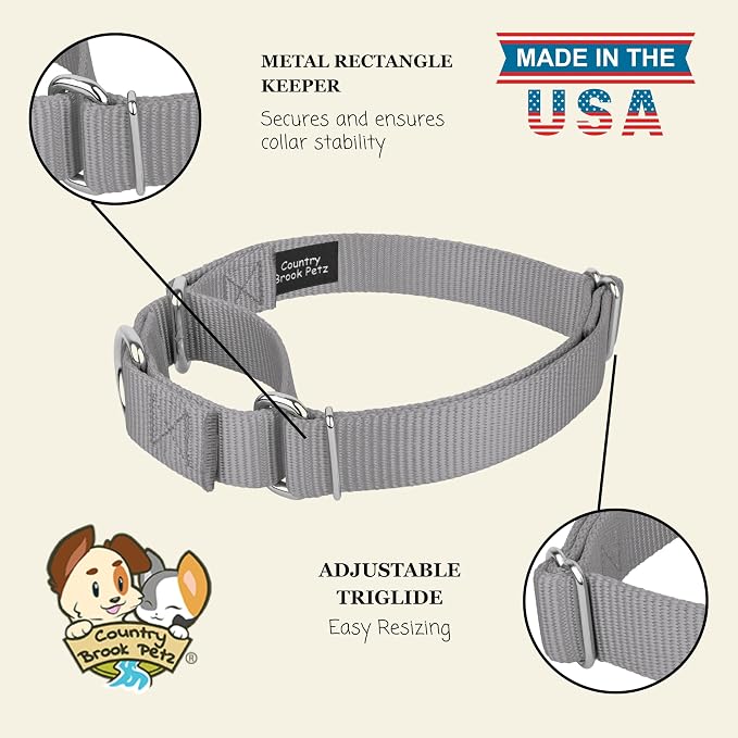 Country Brook Petz - Martingale Dog Collar - Heavy-Duty Training Collar with No Buckle - Service Dog Collar for All Pups - 20 Vibrant Colors (Silver, 3/8 Inch, 2XS)