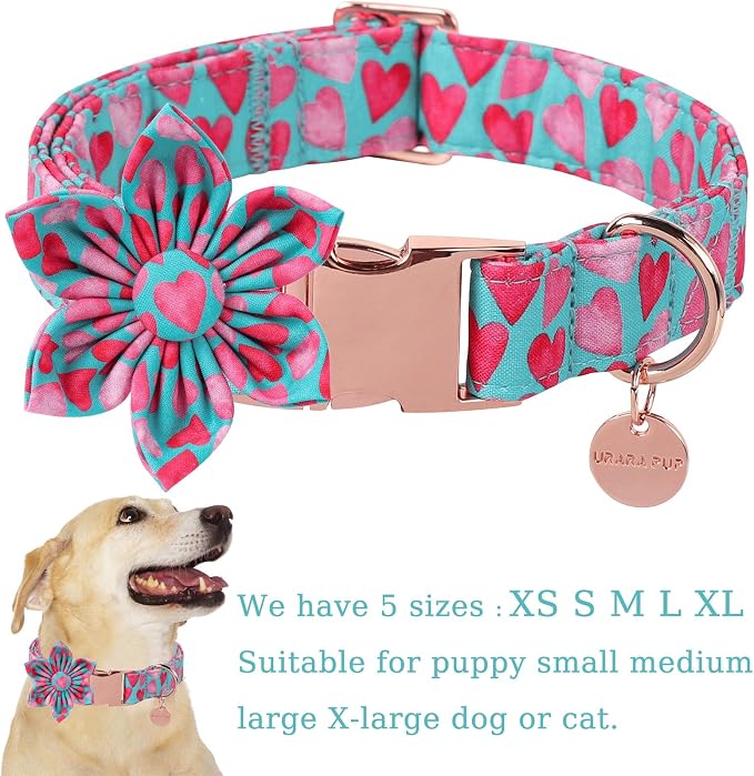 Valentine Dog Collar with Flower, Heart Flower Collar for Puppy Girl Boy Dog or Cat, Comfortable Dog Collar Flower with Durable Metal Buckle, Cute Pet Collar, M, Neck 13.5-22in