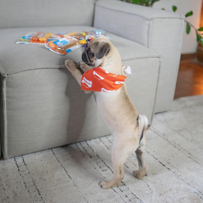 Nylabone New Puppy Power Chew Stages, Soothing Puppy Teething Toys, Chew Bones for Puppies, Long Lasting Peanut Butter & Chicken Flavor, For X-Small Dogs - Up to 15 lbs., 2 Pack