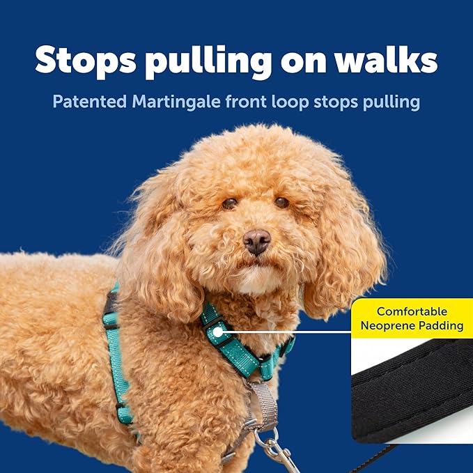 PetSafe 3 in 1 No-Pull Dog Harness for Small Dogs - Walk, Train or Travel - Helps Pets from Pulling on Walks - Seatbelt Loop Doubles as Quick Access Handle - Reflective- Small, Teal