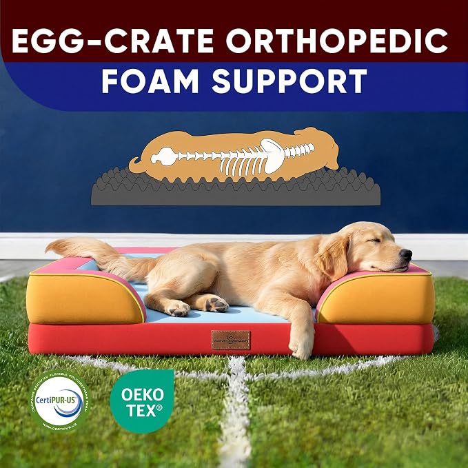 Comfort Expression Orthopedic Dog Bed for Large Dogs 36x27 Inch, Waterproof Egg Crate Foam Large Pet Bed with Bolsters, Dog Couch with Washable Cover & Non-Slip Bottom, Miami