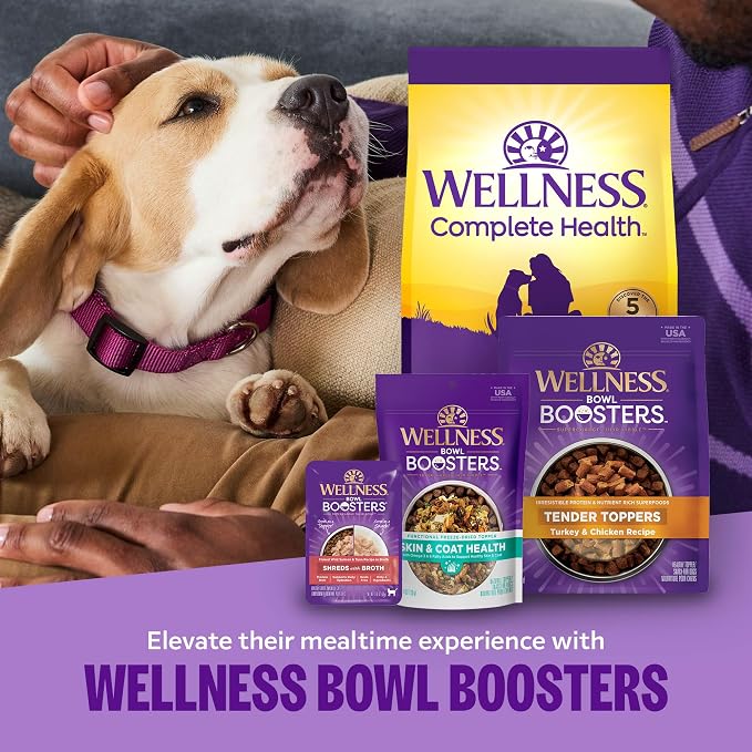 Wellness Complete Health Large Breed Adult Dry Dog Food, Grain Free Kibble, Natural, Chicken Recipe, 24 lb Bag