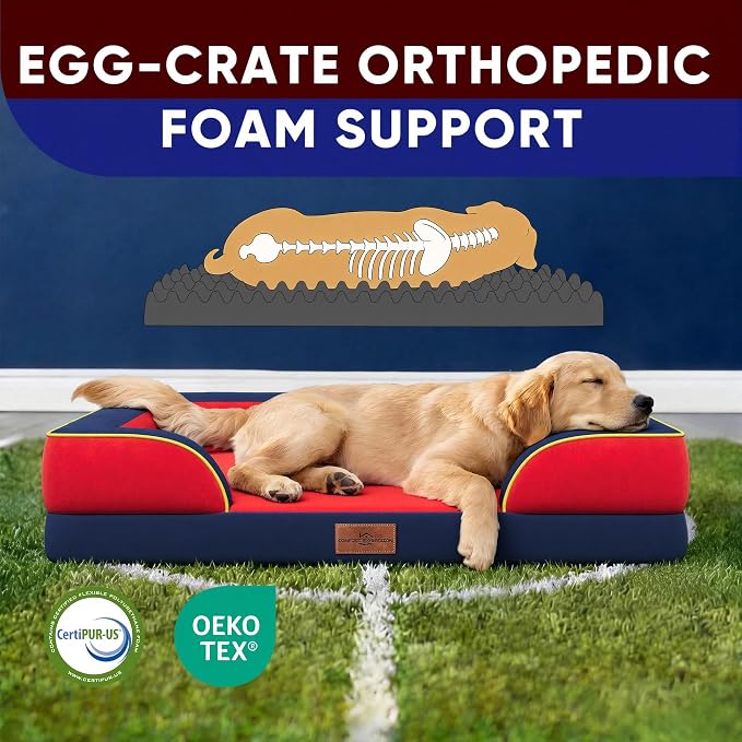 Comfort Expression Orthopedic Dog Bed for Extra Large Dogs 42x30 Inch, Waterproof Egg Crate Foam XL Pet Bed with Bolsters, Dog Couch with Washable Cover & Non-Slip Bottom, Kansas