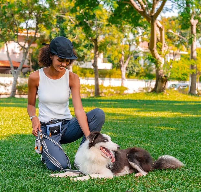 OllyDog, Goodie Treat Bag, Dog Treat Training Pouch | Magnetic Closure | 3 Ways to Wear | Hands-Free Waist Belt | Water-Resistant Recycled Vegan Fabric (Blue Heron)