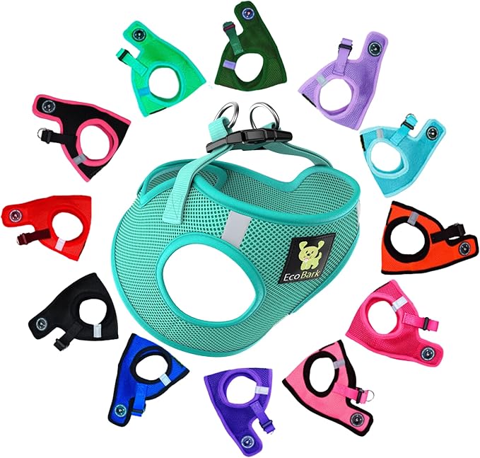 EcoBark Premium Teacup Dog Harness - Luxury Soft Tiny and Toy Breed Harness for Puppy - Mini Step in Vest Body Halter Under 5 lbs (XXXS, Mint)