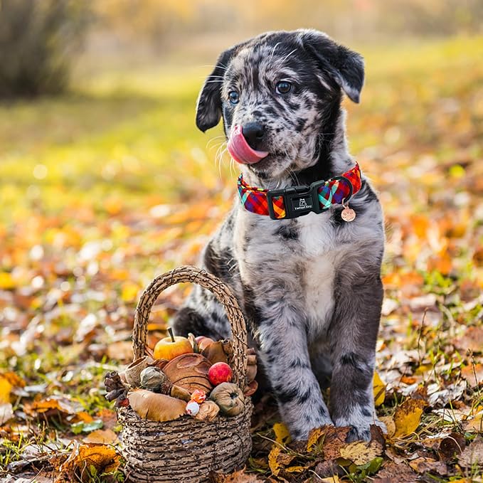 Lionheart glory Fall Plaid Dog Collar-Cute Orange Dog Collars with Plastic Buckle Duty Soft Adjustable Collar for Small Dogs Girls Boys Collars Party Pet Gift