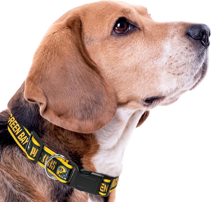 Pets First NFL Green Bay Packers Licensed PET COLLAR, Medium - Heavy-Duty, Strong, and Durable Dog Collar. Available in 31 Football Teams and 4 Sizes