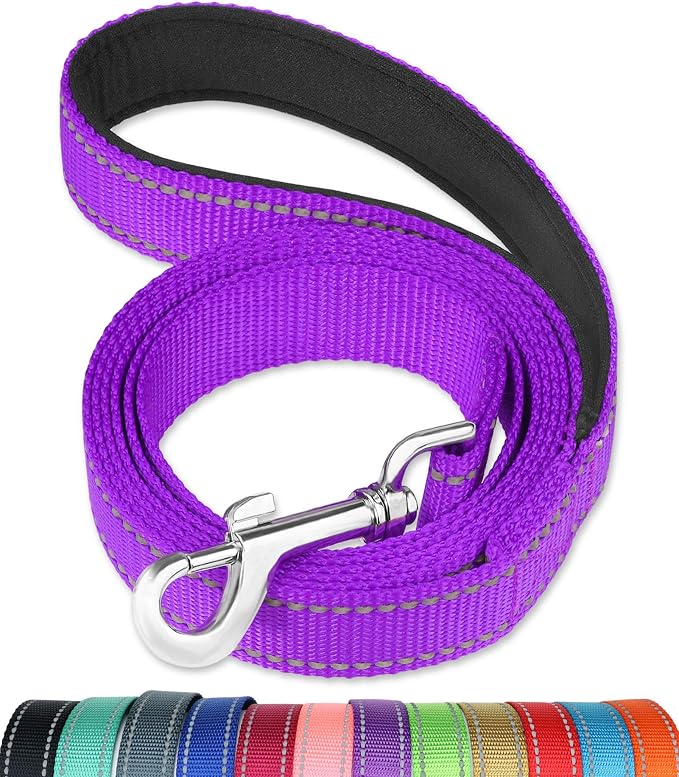 FunTags 4FT Purple Reflective Dog Leash for Large & Medium Dogs Training, Soft Padded Handle Comfortable Grip, Heavy Duty Nylon, Reflective for Night Walking, 1in Wide
