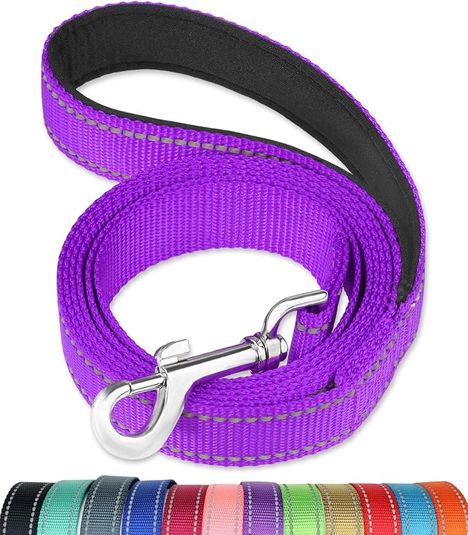 FunTags 6FT Purple Reflective Dog Leash for Medium & Small Dogs Walking, Soft Padded Handle Comfortable Grip, Heavy Duty Nylon, Reflective for Night Walking, 3/4in Wide