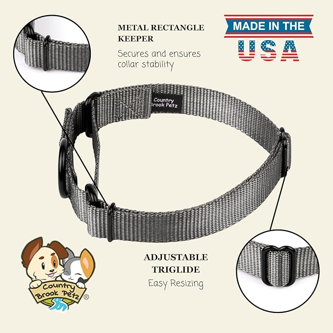Country Brook Petz - Martingale Dog Collar - Heavy-Duty Training Collar with No Buckle - Service Dog Collar for All Pups - 20 Vibrant Colors (Charcoal, 5/8 Inch, Extra Small)