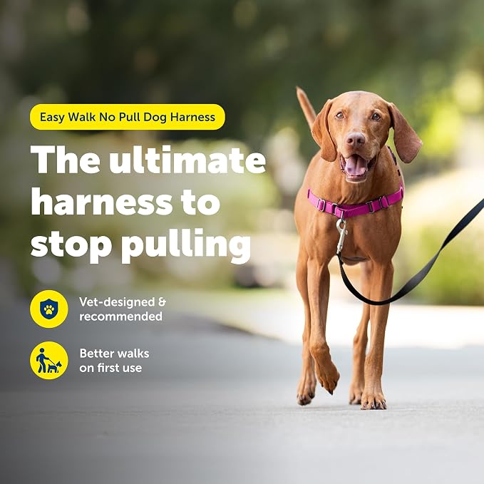 PetSafe Easy Walk No-Pull Dog Harness - Ultimate Harness to Help Stop Pulling - Pull-Free Walks - Take Control & Teach Better Leash Manners - Patented Martingale Loop Design - Raspberry, Medium