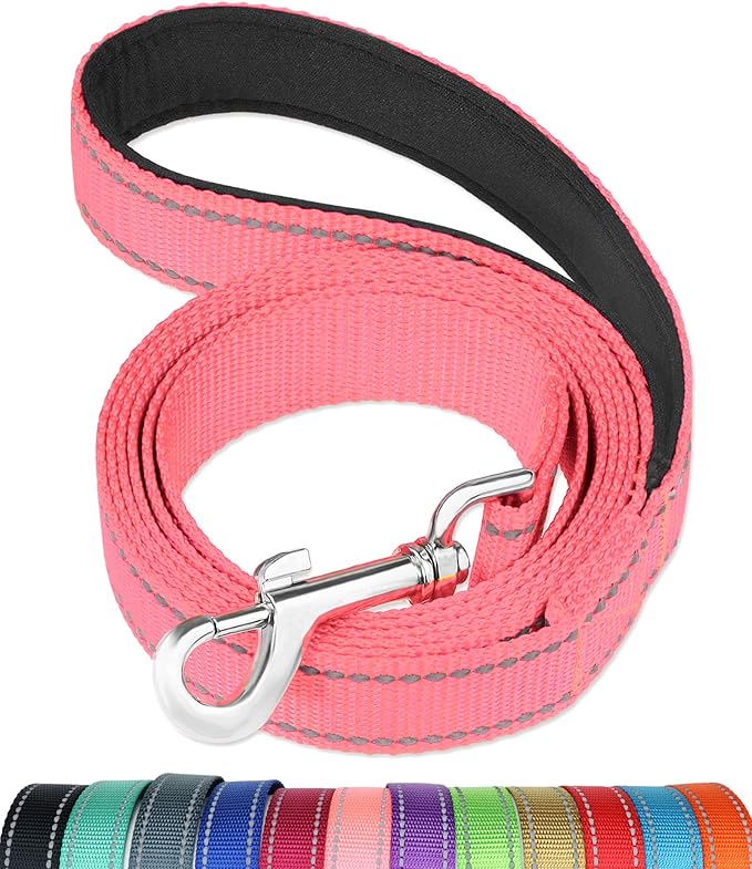 FunTags 4FT Neon Pink Reflective Dog Leash for Medium & Small Dogs Training, Soft Padded Handle Comfortable Grip, Heavy Duty Nylon, Reflective for Night Walking, 3/4in Wide