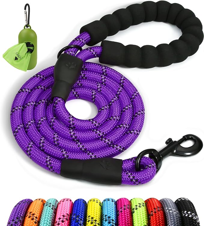 Taglory Rope Dog Leash 4 FT with Comfortable Padded Handle, Highly Reflective Threads Leash and Anti-Tangle Clip for Walking Small Dogs, 3/8 inch, Purple