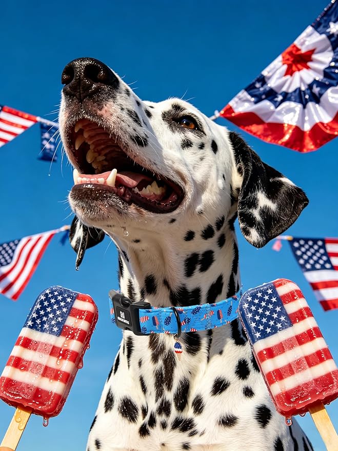 Maca Bates 4th of July Dog Collar with Ice Cream Charm for Extra Large Girl Boy Dogs,Popsicle Pattern,Pretty Adjustable Durable Collars Blue Independence Day Gift for Male Female Puppy