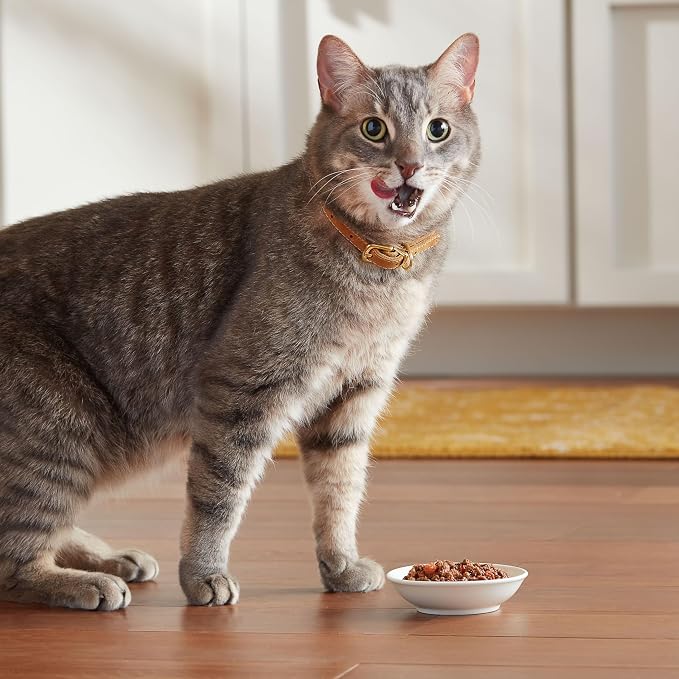 Meow Mix Tender Favorites with Real Tuna & Whole Shrimp in Sauce (Pack of 96)