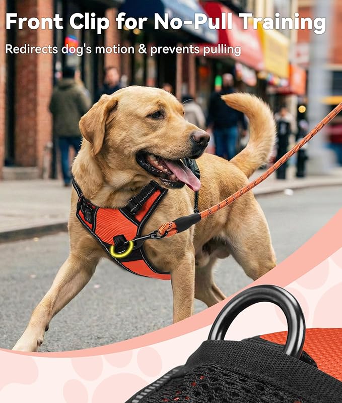 Joytale No Pull Dog Harness for Small Dogs, Reflective Pet Vest with Front Clip, Adjustable Soft Padded Harnesses with Easy Control Handle for Training and Walking, Orange, S