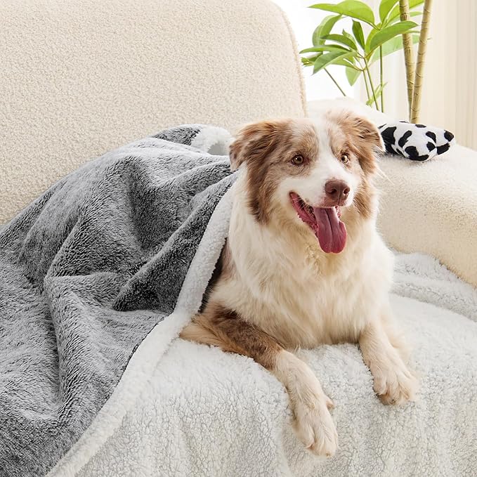 ChiXnuggle Waterproof Dog Blankets for Large Dogs, 50x60 Inch Reversible Faux Fur & Sherpa Washable Pet Blanket, Soft Pet Throw for Couch Bed Protection, Black
