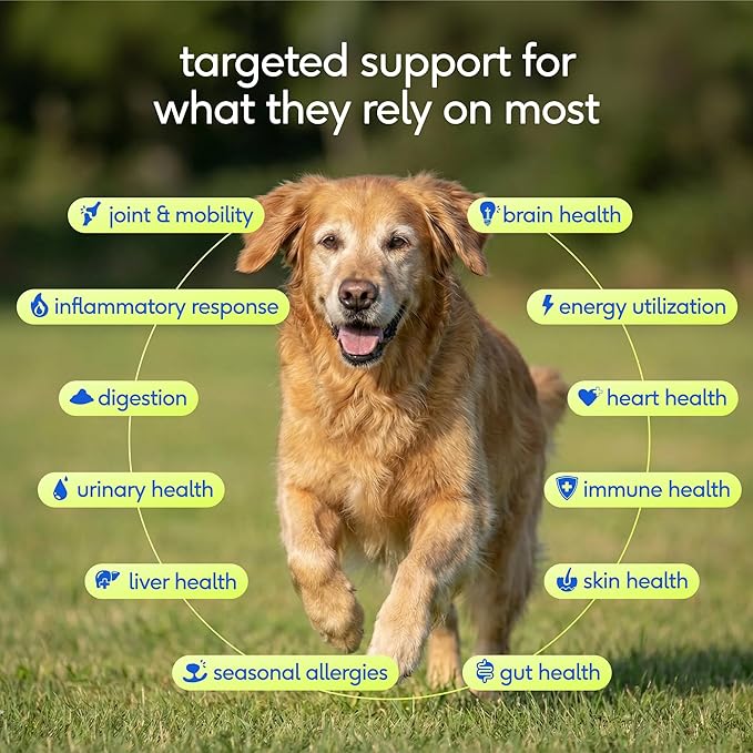 Native Pet Senior Daily Dog Vitamins & Supplements – 12-in-1 Dog Multivitamin Powder for Senior Dogs – Supports Mobility, Cognition, Digestion, Immune Health & More – 30 Scoops