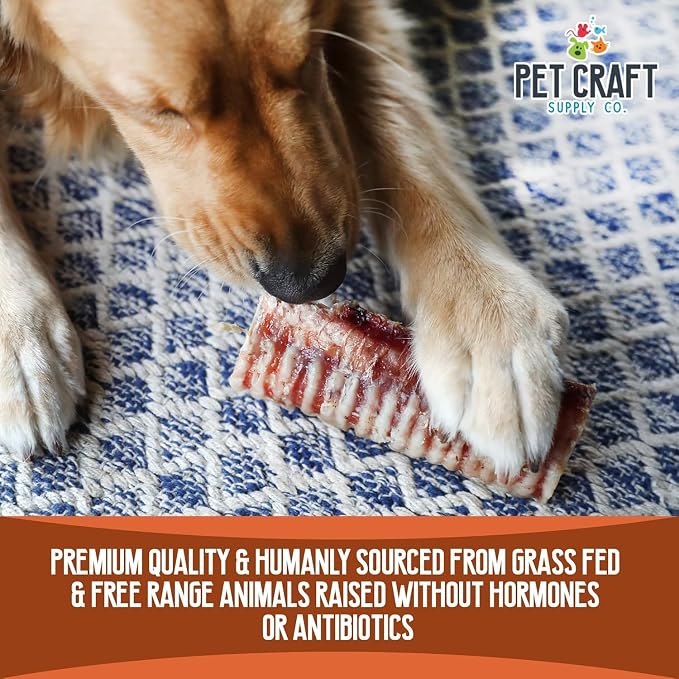Pet Craft Supply Large 6" Buffalo Trachea Bones Dog Chews Treats 6 Pack for Aggressive Chewers Long Lasting Rawhide Free Premium Slow Roasted for Puppies Small Medium Large Dogs