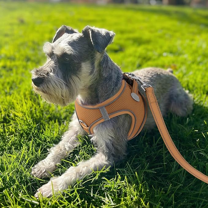 Joytale Small Dog Harness, Breathable Mesh Step-in Vest, Reflective Soft Padded Harnesses for Puppies and Extra Small Dogs, Brown, XS
