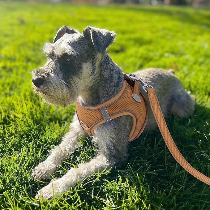 Joytale Small Dog Harness, Breathable Mesh Step-in Vest, Reflective Soft Padded Harnesses for Medium Dogs, Brown, XL