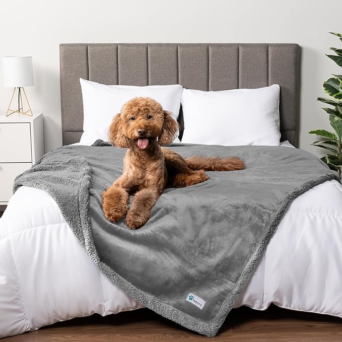 PetAmi Waterproof Dog Blanket for Couch, Queen 90x90, Pee Proof Sherpa Fleece Reversible Pet Throw, Furniture Protector for Bed Sofa, Soft Washable Cover for Large Dogs Cats, Light Grey