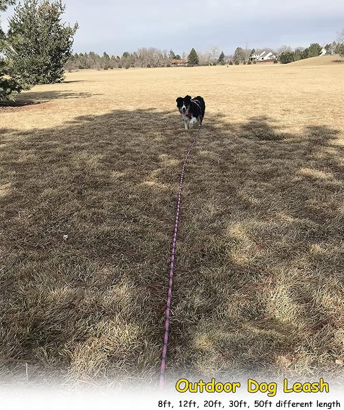BTINESFUL 8ft 12ft 20ft 30ft 50ft 75ft Dog Tie Out Rope Leash, Long Tether Outdoor Yard Leash, Large Medium Dogs Training, Playing, Camping, Backyard Dog Lead (50 Foot, Pink Black)