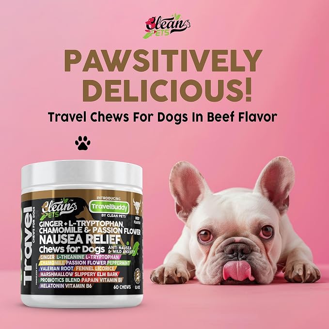 Clean Pets Travel Chews Nausea Relief for Dogs | Ginger L-Tryptophan Chamomile Passion Flower L-Theanine Peppermint Valerian Root Fennel Licorice Root Marshmallow Root Slippery Elm Melatonin Chew