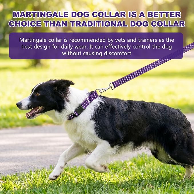 Hikiko Martingale Collar for Dogs Reflective Nylon Dog Collar with Quick Release Buckle Adjustable Training No Slip Dog Collar (X-Large, Purple)