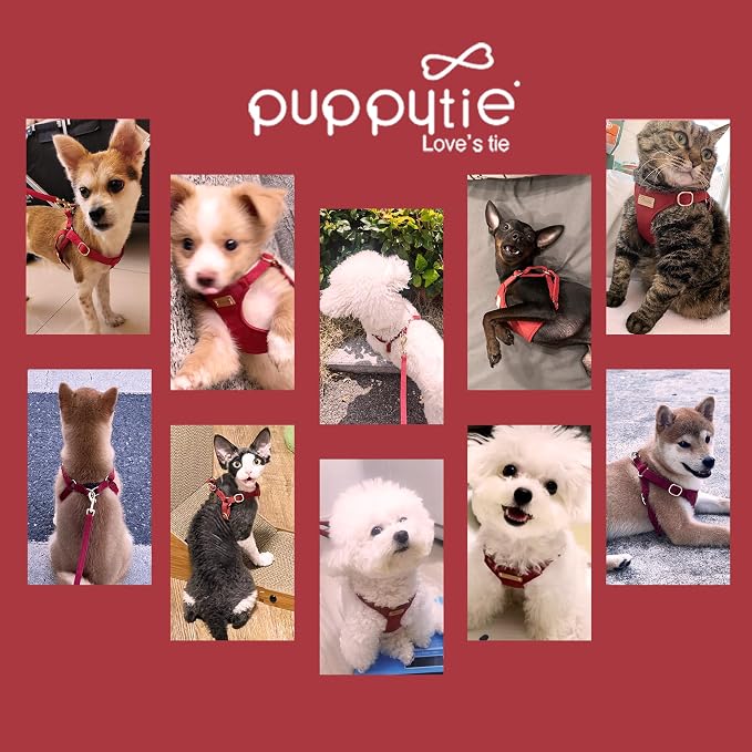 Puppytie XXS Puppy Harness with Multifunction Dog Leash,Soft Adjustable No Choke Escape Proof Pet Harness Vest,red Hawthorn,XXS