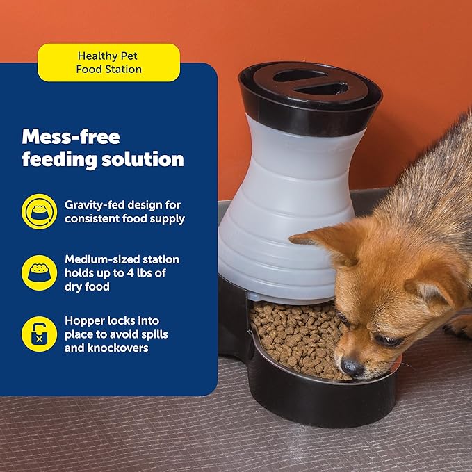 PetSafe Healthy Pet Food Station - Medium, 4 lb Kibble Capacity - Gravity Pet Feeder Dry Food Dispenser, Automatic Cat Feeder, Small to Medium Dog Feeder - Removable Stainless Steel Bowl Included