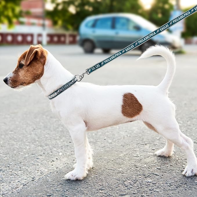 Pets First NFL Philadelphia Eagles Licensed PET COLLAR, Medium - Heavy-Duty, Strong, and Durable Dog Collar. Available in 31 Football Teams and 4 Sizes