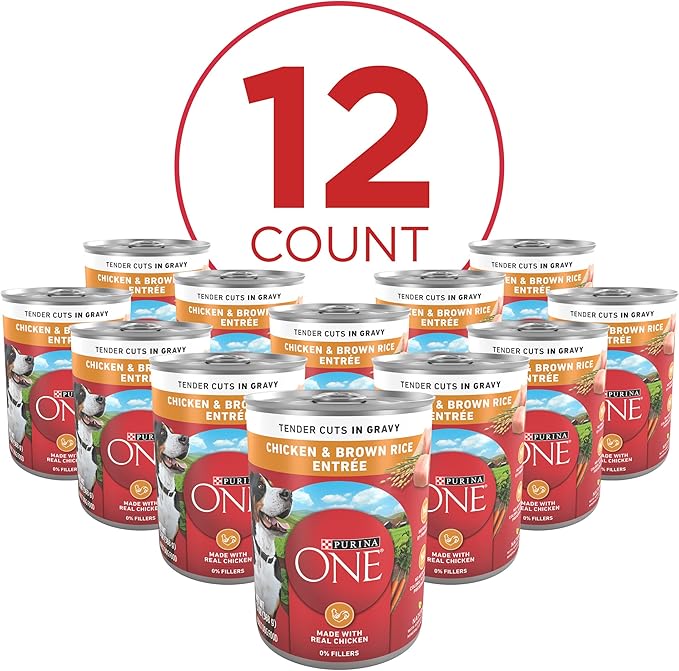 Purina ONE Natural High Protein Dog Food, Tender Cuts in Gravy Chicken and Brown Rice Entrée - 13 Ounce (Pack of 12)