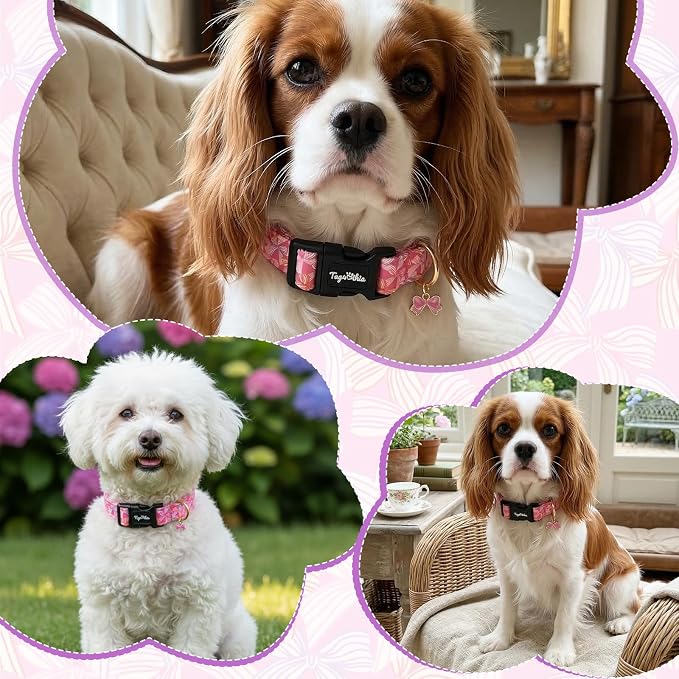 Cute Hot Pink Dog Collar with Bow Print, Spring Summer Puppy Collar with Adjustable Buckle, Soft Cotton Pink Dog Collar for Small Medium Large Dogs-M