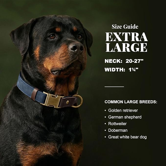 Didog Soft PU Leather Dog Collar for Large Dogs,Classic Adjustable Wide Dog Collars with Quick Release Metal Buckle,Easy Clean and Comfortable with Nylon Lining,Blue,XL Neck 20-27", Width 1¼"