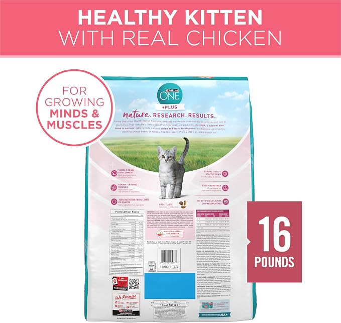 Purina ONE High Protein, Natural Dry Kitten Food, +Plus Healthy Kitten Formula - 16 lb. Bag