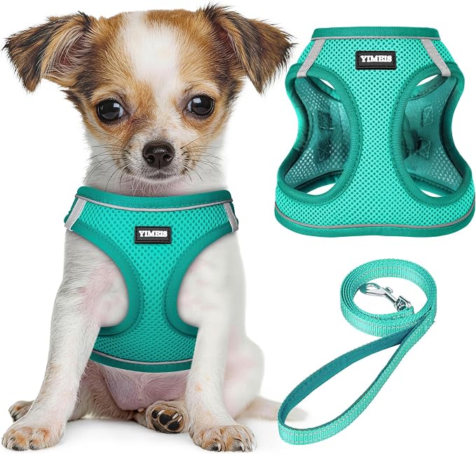 YIMEIS Dog Harness and Leash Set, No Pull Soft Mesh Pet Harness, Reflective Adjustable Puppy Vest for Small Medium Large Dogs, Cats (Turquoise, Medium (Pack of 1)