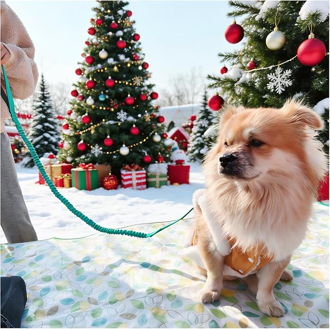 WYuZe 4 FT Bungee Dog Leash for Strong Small Dogs - Reflective, Shock Absorbing, Elastic Nylon Leash with Padded Handle for Safety Comfort No Pull Walking Training (Teal, 3/4"-Wide)