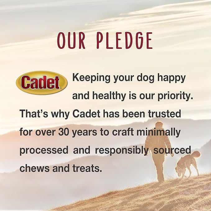 Cadet Stuffed Shin Bone, Long-Lasting Dog Chew Bones for Aggressive Chewers, High Protein Filled Bone Dental Chew for Dogs, Peanut Butter Flavor Filling, 5-6" for Large Dogs