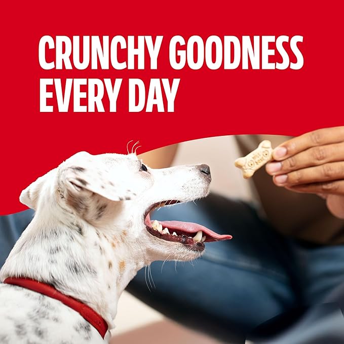 Milk-Bone Crunchy Small Dog Treats, 24 Oz. Boxes, Original Beef Flavor (Pack of 12)
