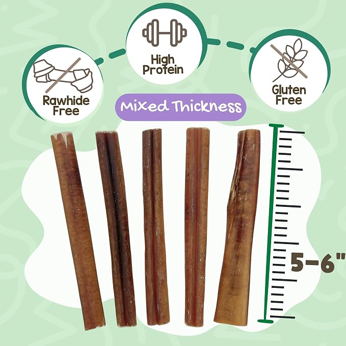 Nature Gnaws Bully Sticks for Dogs 5-6" (1Lb) - Mixed Thickness - Long Lasting for Aggressive Chewers and Large Dogs - Natural Beef Dog Chew Bones